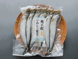 8892fd6ca0db31ef40dc.webp