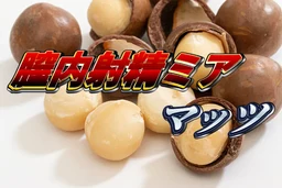 fff522c720e6e2b40042.webp