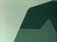 4893e563e484115e070a.webm