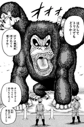 6dc3adc0c7d851350d1b.jpeg.webp