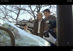 004ba094706a4cf93533.webp