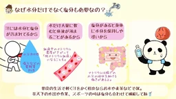 05a7e622c0a438985113.webp