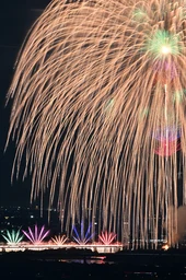 b1ca4d377dd8747a8098.webp