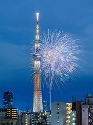 fe3653cb0adfcafa6b08.webp