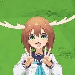 8d256688dc364a75fb5d.webp