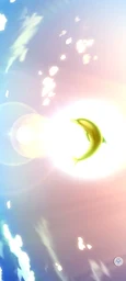 43d79ca403e40d64a185.webp