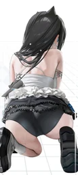 8d624e8985afd6484fa6.webp