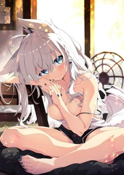 301a16d5117a2613f15a.webp