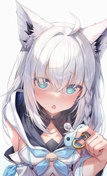 630dbd57a635e1cc9b48.webp