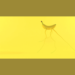 07e5350015ec6257f5fe.gif