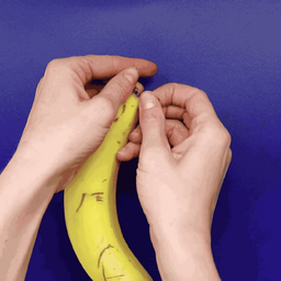 10328b7f1fd69c065b1c.gif