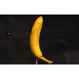 3ec489810b9045a16c56.gif