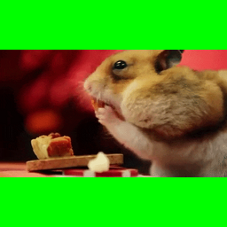 0d4f2fd5d2d90b700319.gif