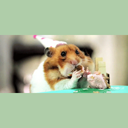171270c156e741950689.gif