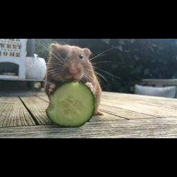 2a8c9ad96e72b826a6b7.gif