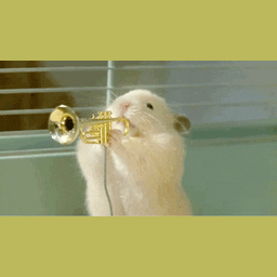 33b06154dfd2734525a8.gif