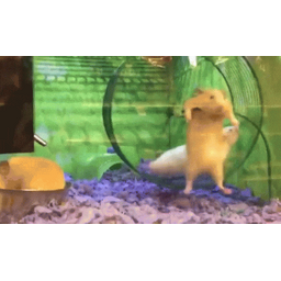 3a803d400f238aabddca.gif