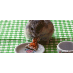 40cdbf52e828fcfd428e.gif