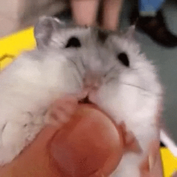 74d2883ab648d724ae06.gif