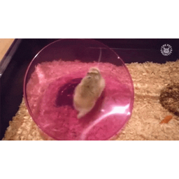 75b72100889cbd6e5f01.gif