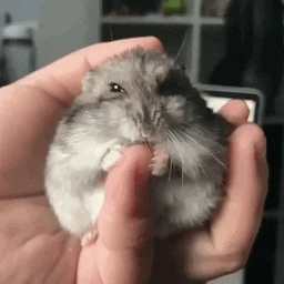 766b984d11d3b0451d7a.gif