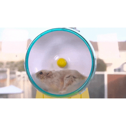 76cbb5d433a06f160a80.gif