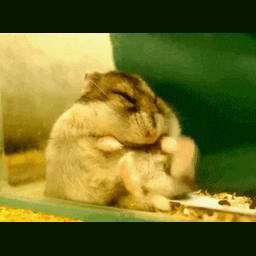7b434957079ffbd9bef1.gif