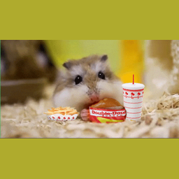 7f08765514c413362b80.gif