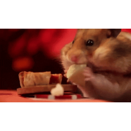be617117f3e5d4919a2f.gif