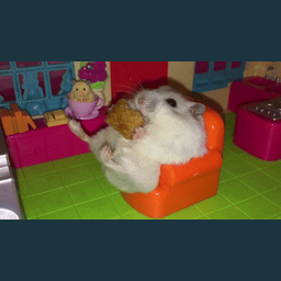 c15cd0a3244f59787fbe.gif