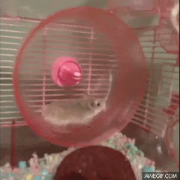 dabfb9300b152cf08085.gif