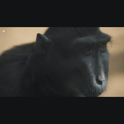 dd980da87917c44cfde2.gif