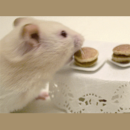e192955e8f0f9ce94172.gif