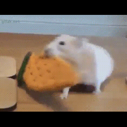 e2d0a8eda4192fbb90ee.gif