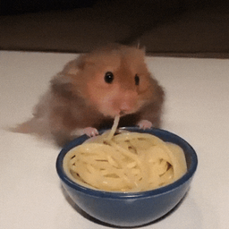 e622c160cf4f367efb55.gif