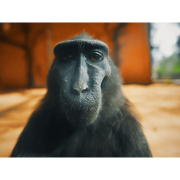 eaa9314a9bdf6959e388.gif
