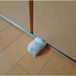 f0a6f4054d3214b5b2bb.gif