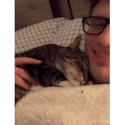 0cbeabde11d4e89b48dd.gif