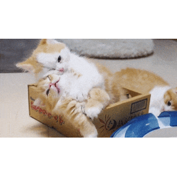 2084c7475b16f827372e.gif