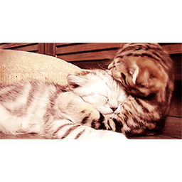 2b6c317da786856e222d.gif