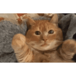 4e0e77b635712dec2997.gif