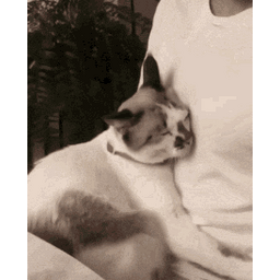 57d95b90e4bace07d403.gif