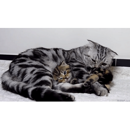 5d99519a4e75fd828dcf.gif