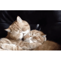 658cce1b97be359052b2.gif