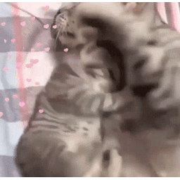80be1e15ae1f4f75ab7a.gif