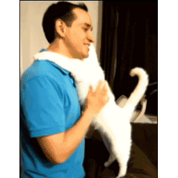 8e1c7198be683ca9c1c5.gif