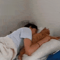 9060167726684beec6b0.gif