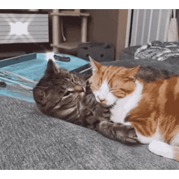 b99d5d879fef4e88d3fd.gif