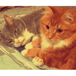 bd7d8bcac1c77a6ff8bc.gif