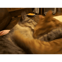da94718b84a674c6b616.gif